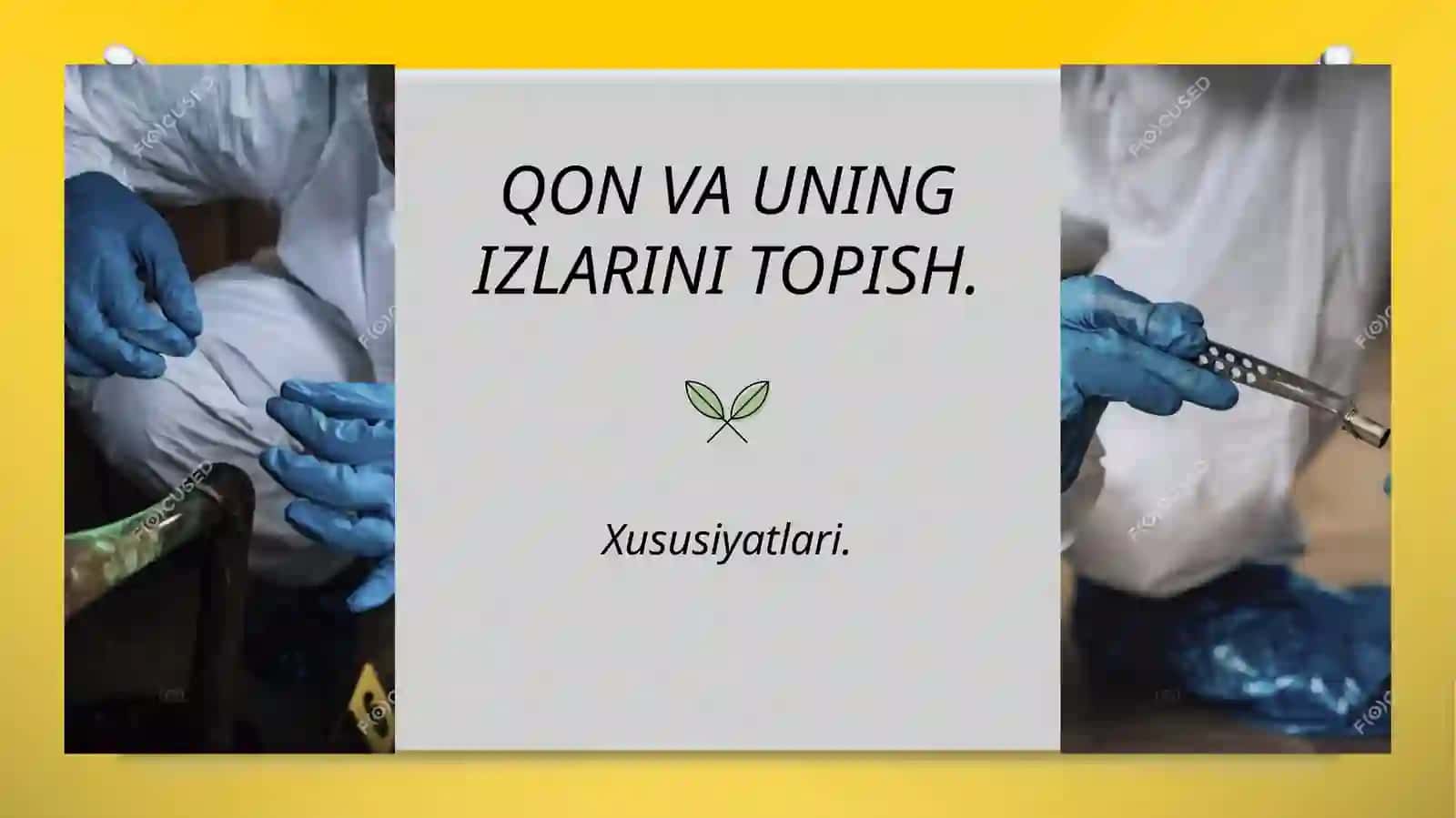 Qon va qon dog’larining sud tibbiy ekspertizasi 4