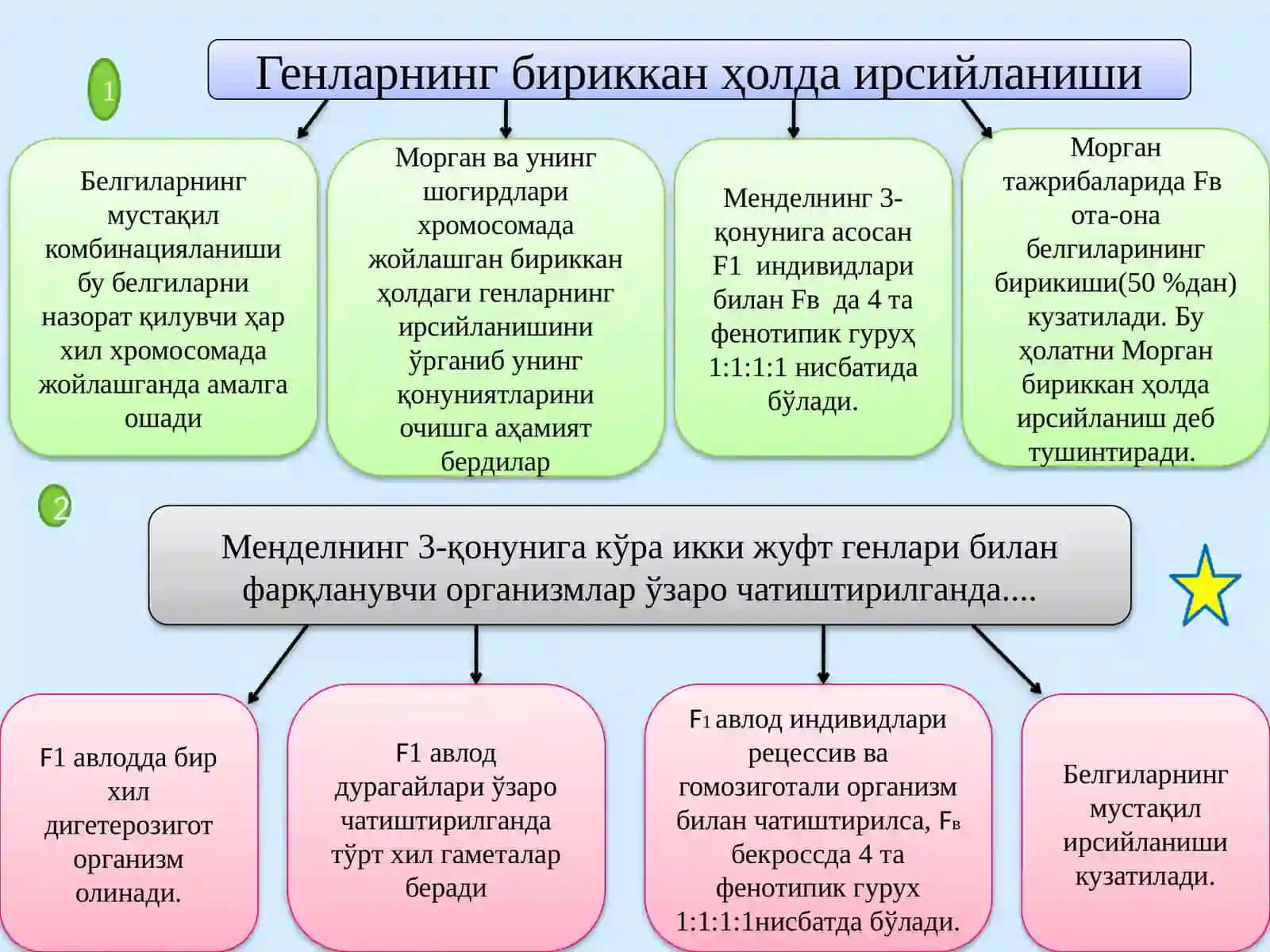 Ирсиятнинг хромосома назарияси. Жинс генетикаси 4
