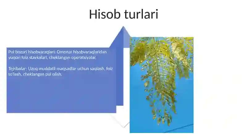 Hisoblagichlar 4