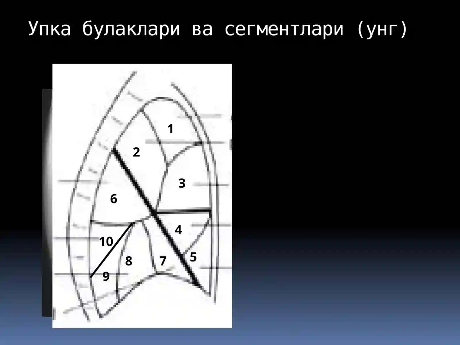 УПКА КАСАЛЛИКЛАРИНИНГ НУР ТАШХИСИ 4