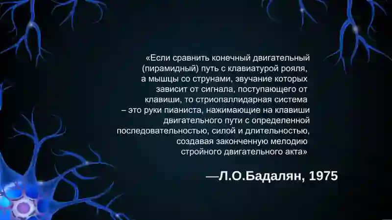 Экстрапирамидная система 4