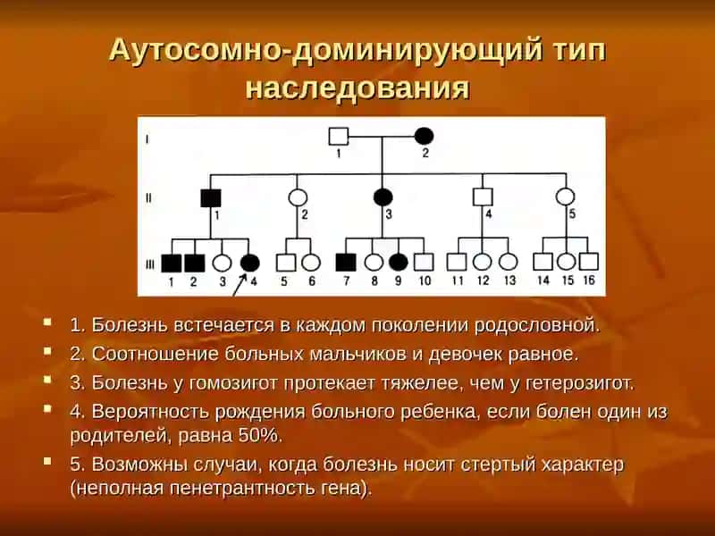 Генетика человека 4