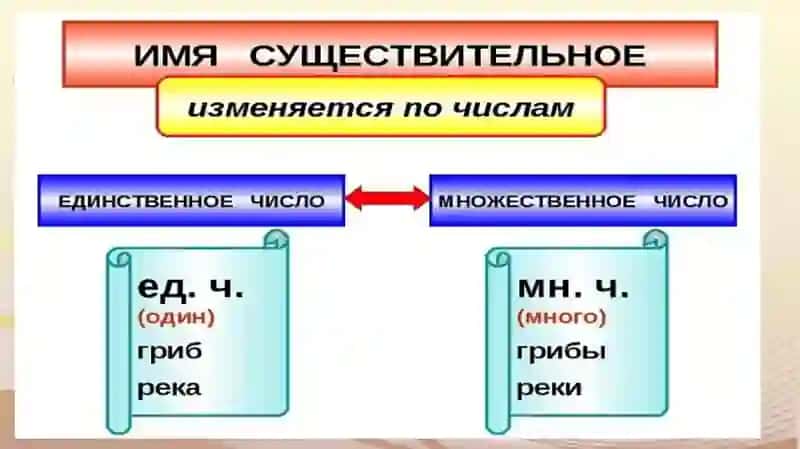 Единственное и множественное число имен существительных 4