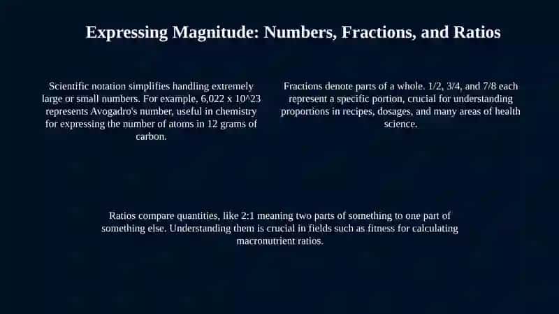 Physiological Limits & Numerical Perception 4