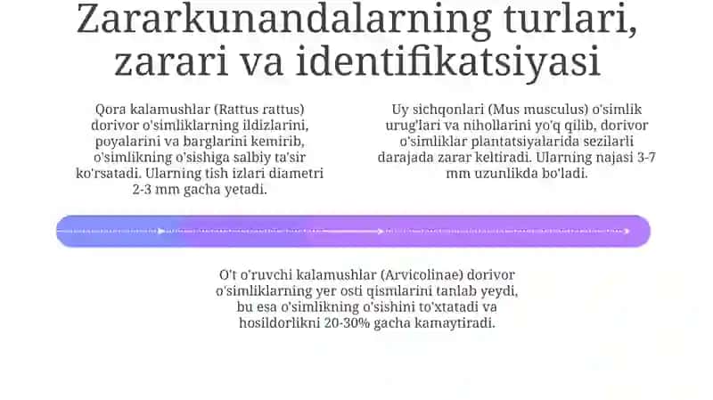 Dorivor o‘simliklarning kemiruvchi zararkunandalari 4