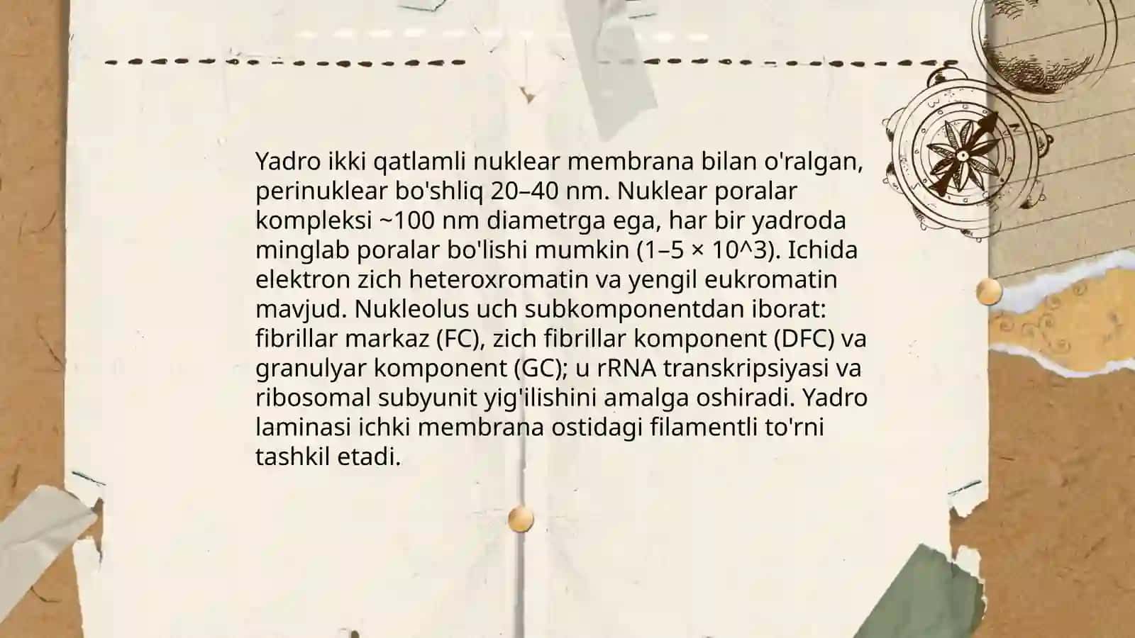 Tibbiy biologiya Evkariot hujayralarning ultra strukturaviy tuzilishi 4