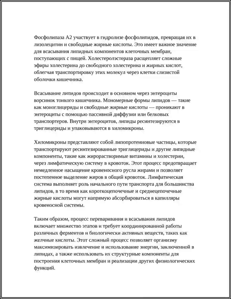 ПЕРЕВАРИВАНИЕ И ВСАСЫВАНИЕ ЛИПИДОВ 4