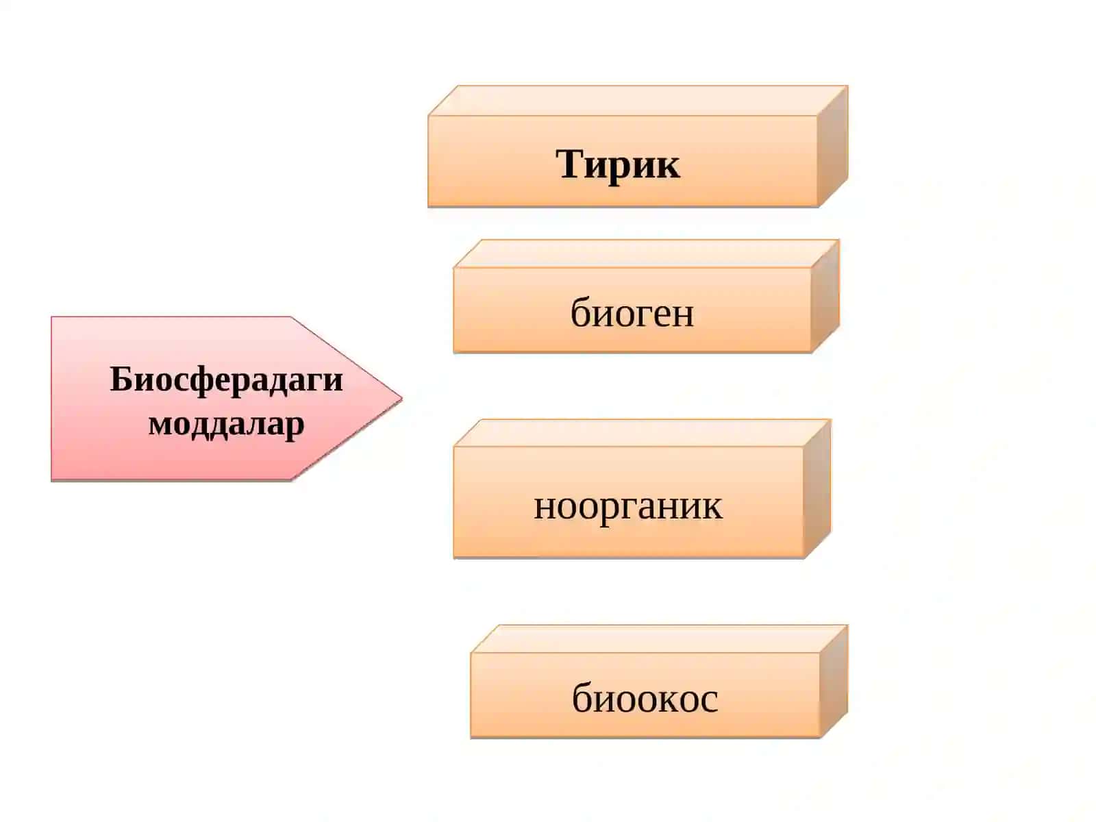Биосфера тушунчаси 4