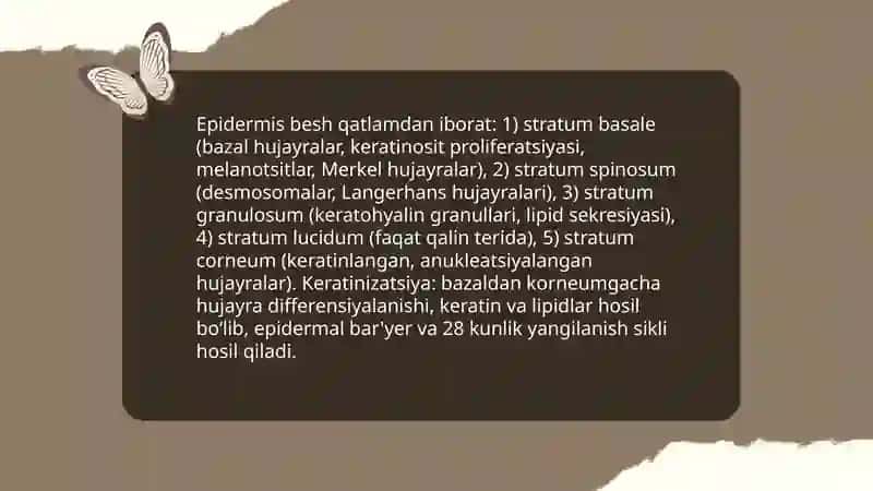 Sezgi organlari.Teri gistalogiyasi 4