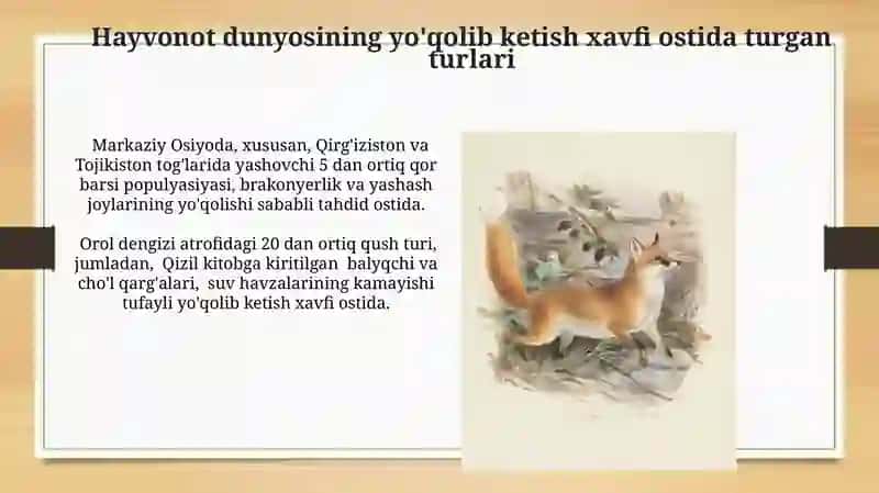 Qizil Kitob 4