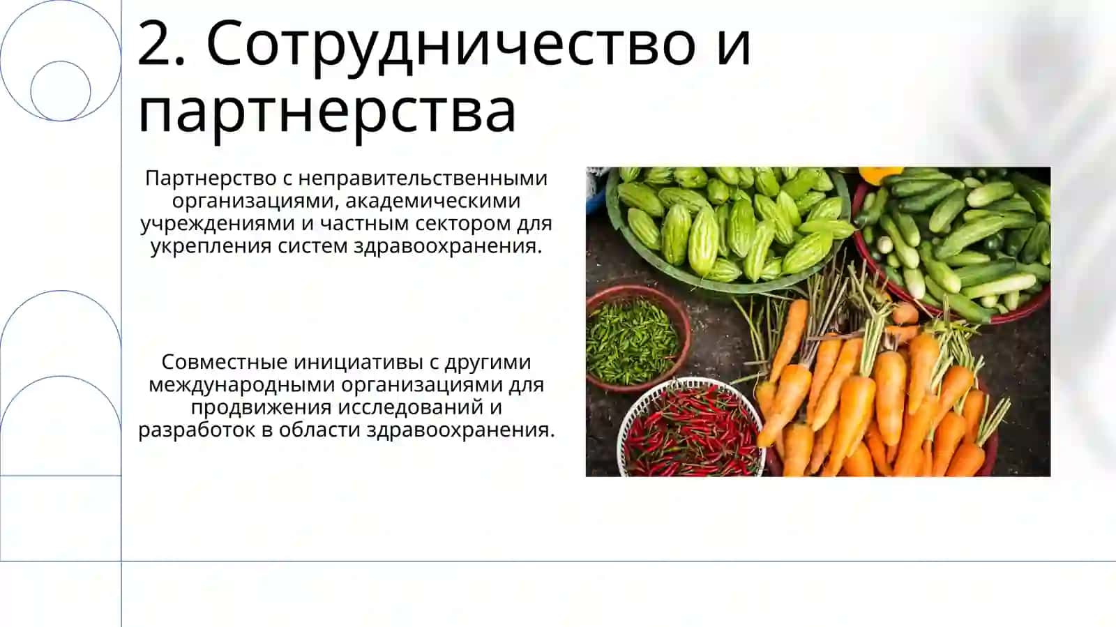 Всемирная организация здравоохранения 4