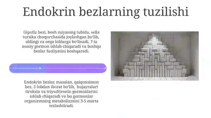 Bezlarining tuzilishi va rivojlanishi 4