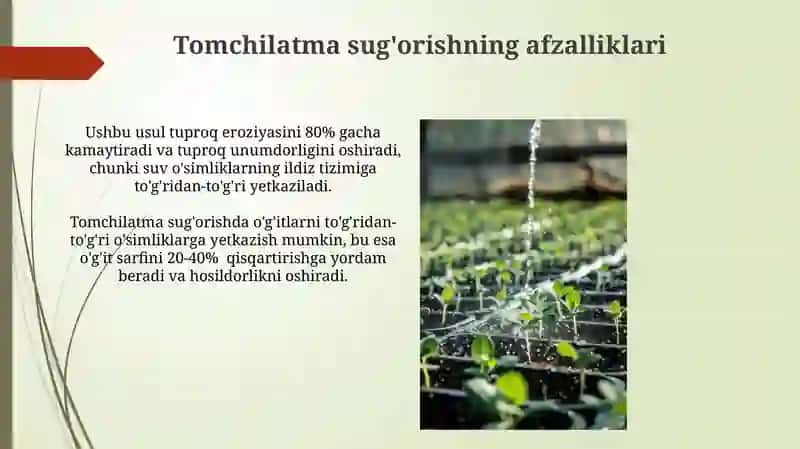 Sug'orish usullari va ularga qoyilgan talablar 4