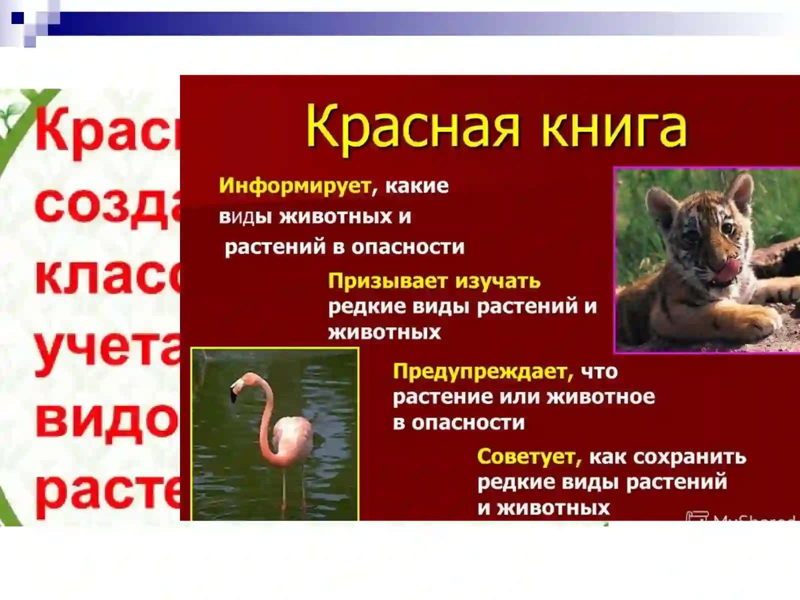 Разработка урока русского языка на тему:«Имя прилагательное. Качественные прилагательные» для 10 класса 4