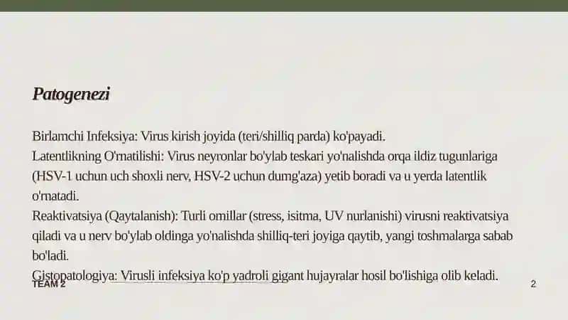 Oʼtkir gerpes va sitomegalovirus 4