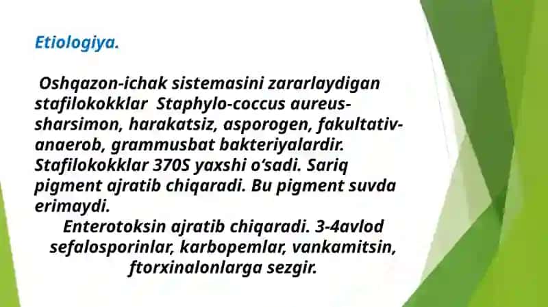 Stafilokokkli infeksiya etiologiyasi, patogenezi va davolash 4