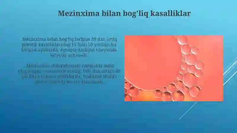 Mezinximaning tuzulishi va ahamiyati 4