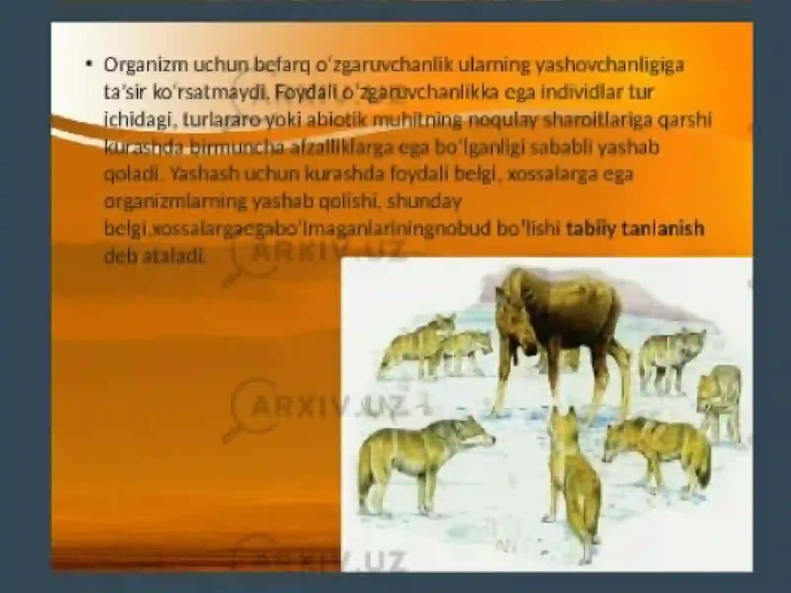 TABIIY FANLAR YO‘NALISHI 3- KURS KOMILJONOVA ZARNIGOR 4