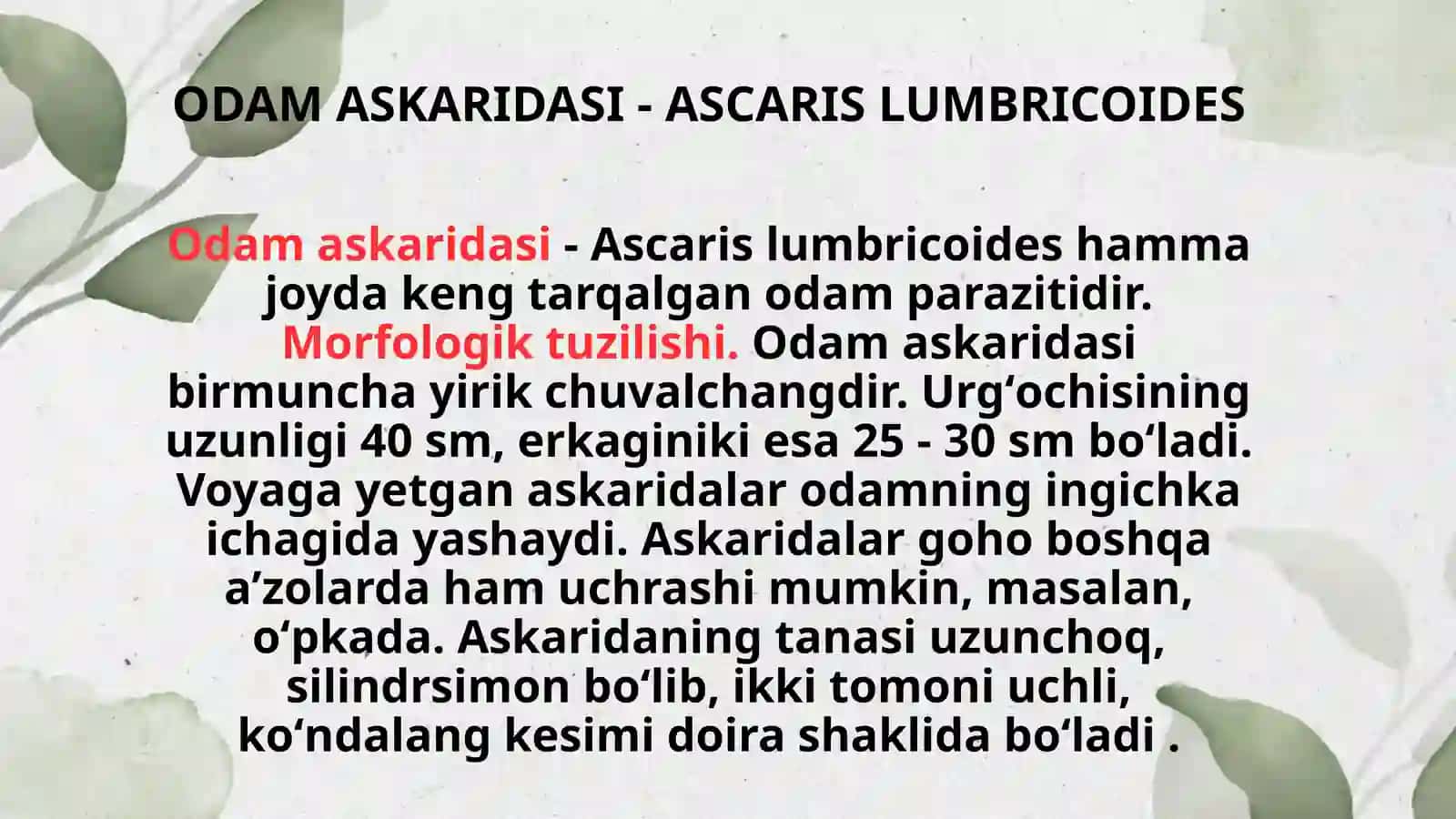 Yassi chuvalchanglar – odam parazitlari - so‘rg‘ichlilar jigar qurti, mushuk so‘rg‘ichi, lansetsimon so‘rg‘ich, o‘pka so‘rg‘ichi, shistosomalar (qon qurtlari). 4