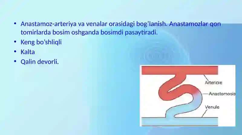 Yurak-Qon tomir  va endoteliyasining funktsiyalari 4
