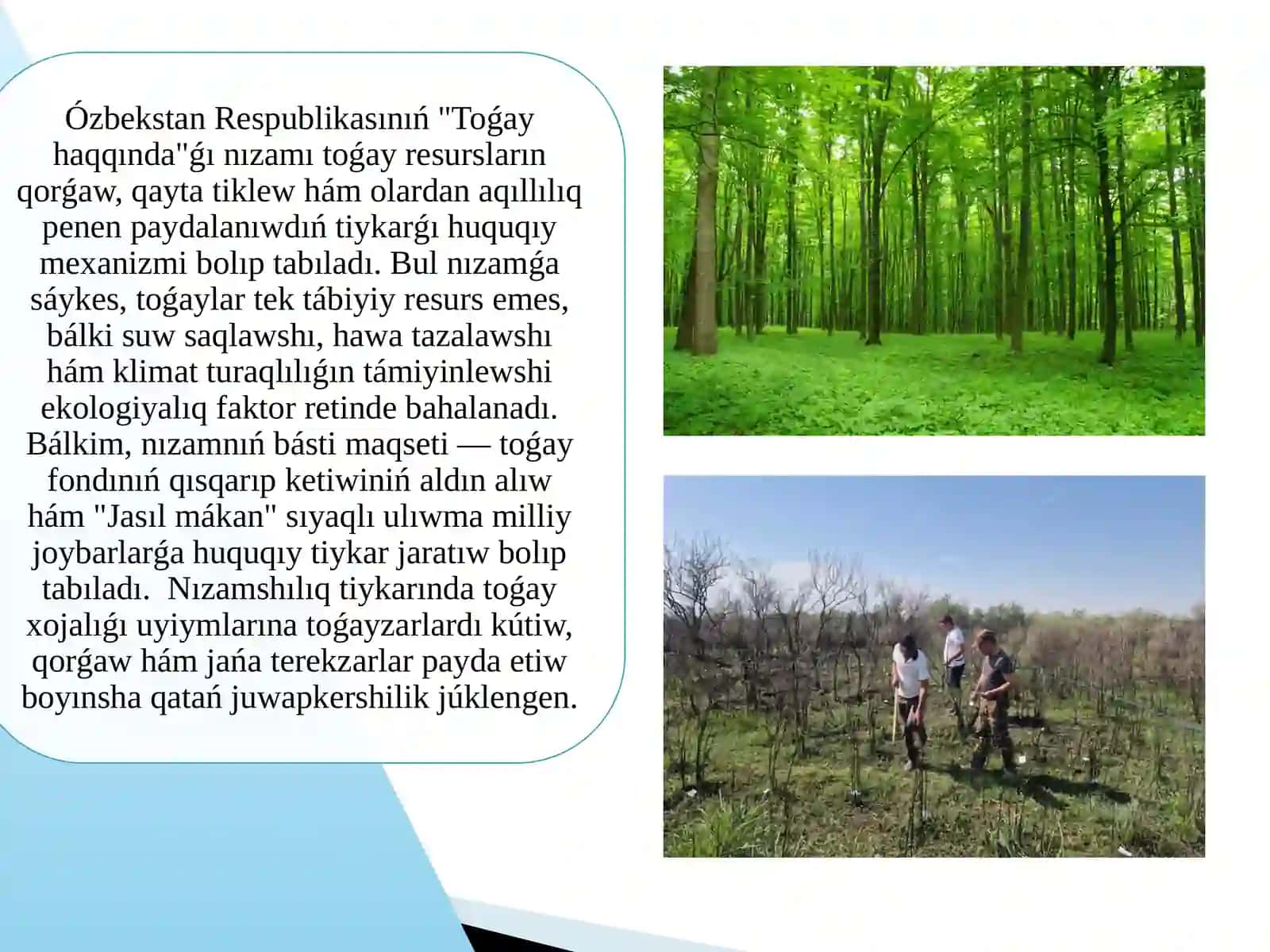 Toǵay hám ósimlik dúnyasın qorģaw hám onnan paydalanıwdıń huqiqiy tártibi 4