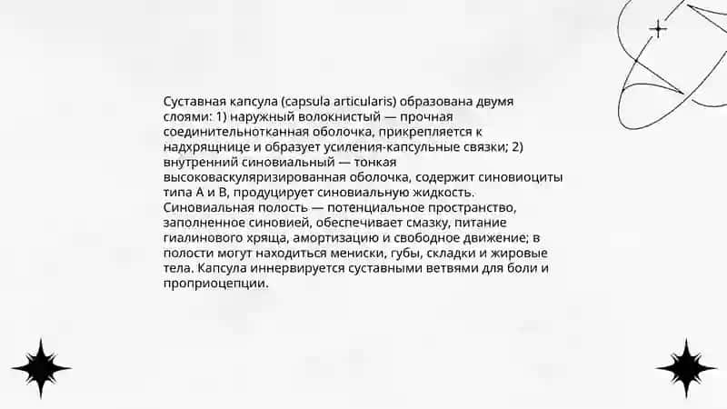 Анатомия суставов 4