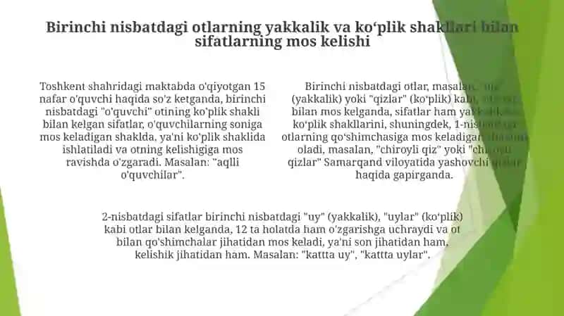 1,2 Turlanishdagi sifatlarning 1,2 turdagi otlar bilan moslashishi 4