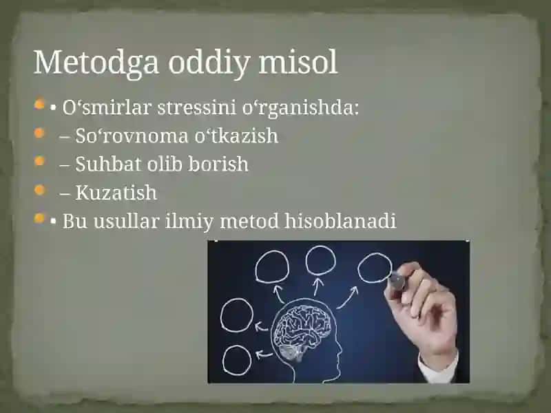 Ilmiy Maktab, Metod va Metodologik Yondashuvlar 4
