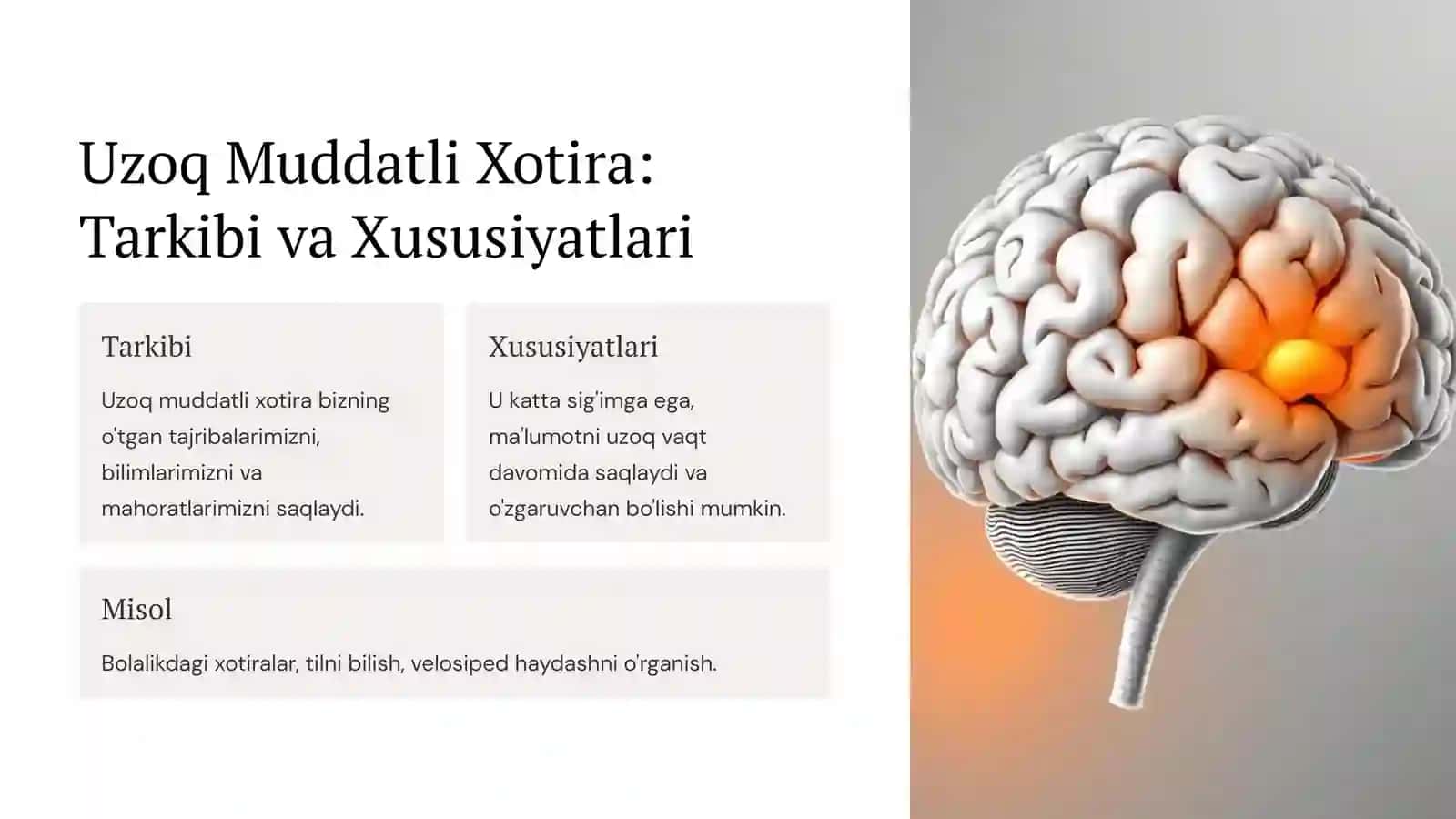 Umumiy Psixologiyadan: Xotira Turlari va Jarayonlari 4