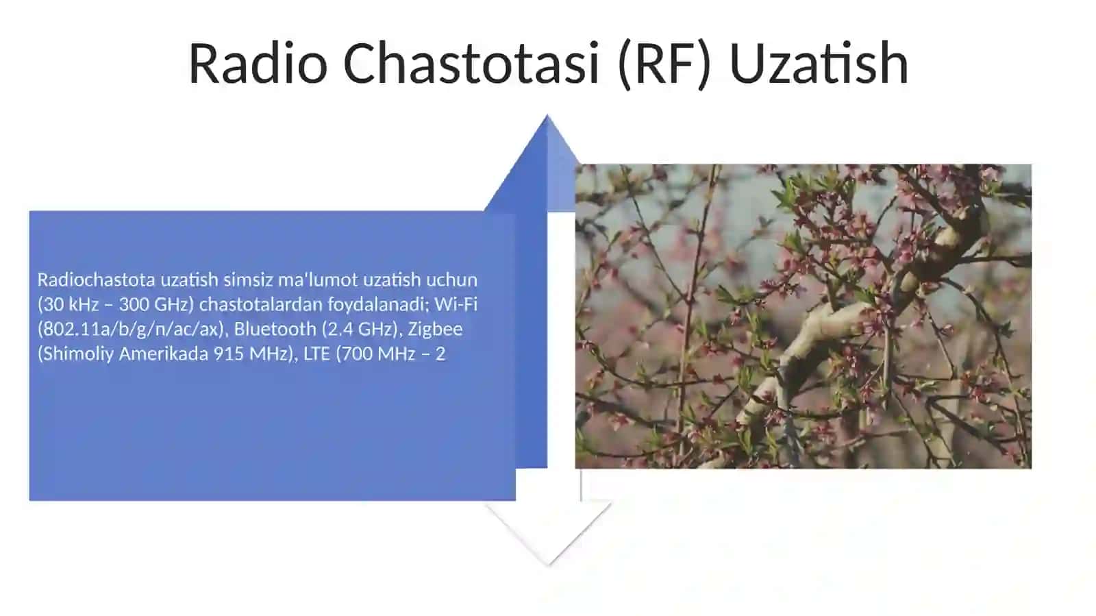 Axborot o'tkazish muxiti va ularning texnik ko'rsatgichlari 4