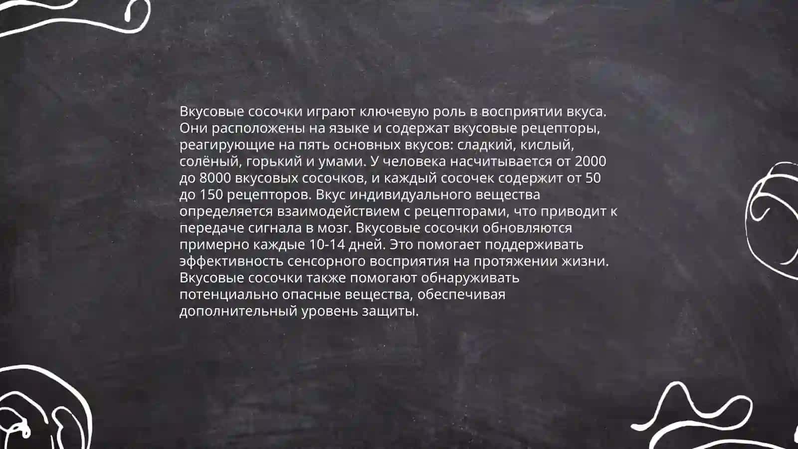Морфофункциональная характеристика органа вкуса 4