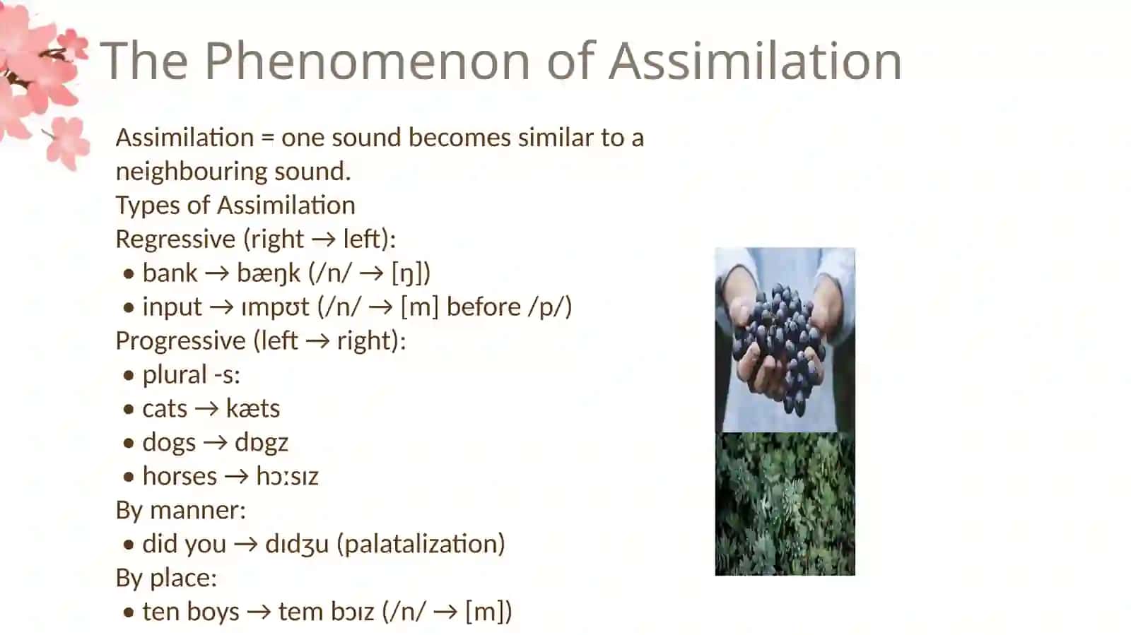 THE THEORY OF PHONEMES.TYPES AND VARIATIONS OF SPEECH SOUNDS 4