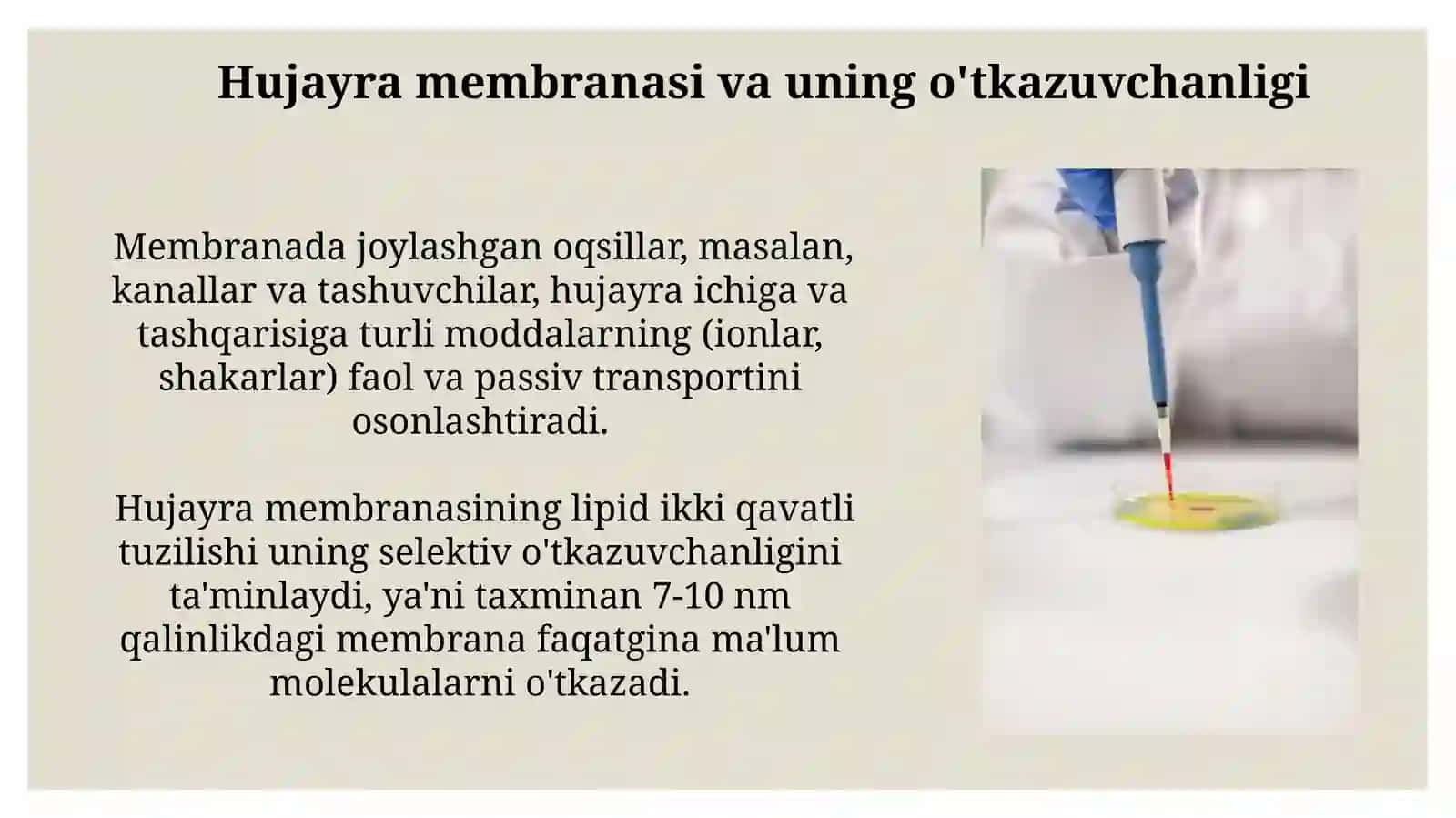 Sitologiyavahujayrahaqidagifan 4