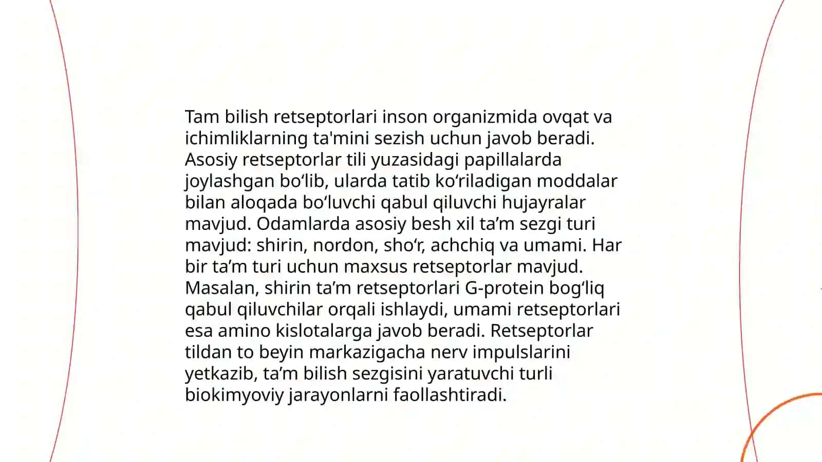 Tam bilish azolarining funksional anatomiyasi 4