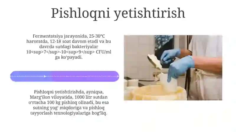 Sutni Pishloqlash 4