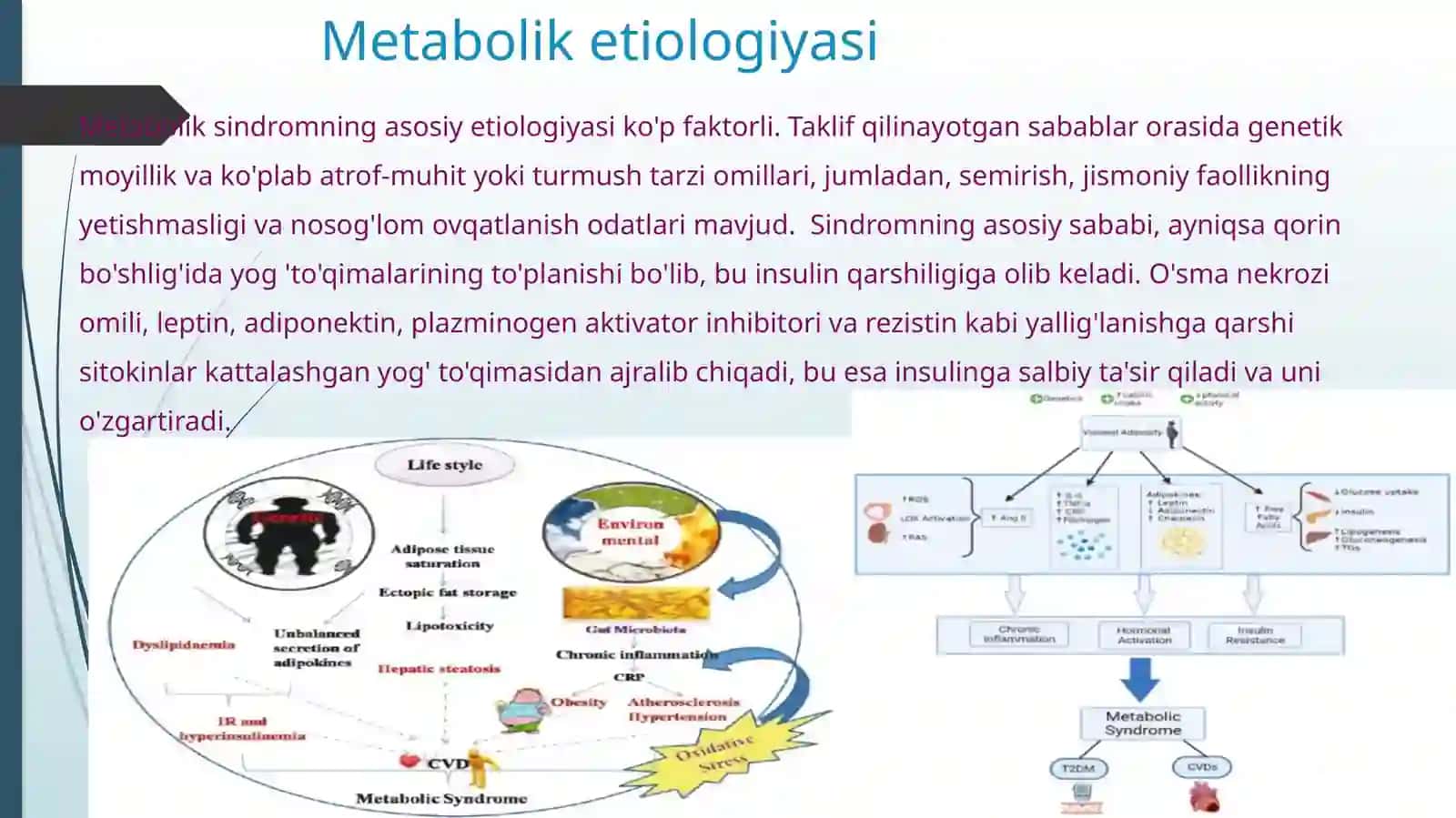 Metabolik sindrom kelib chiqishining biokimyoviy asoslari va asoratlari 4