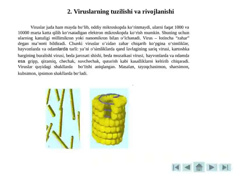 Mikrobiologiyava virusologiya 4