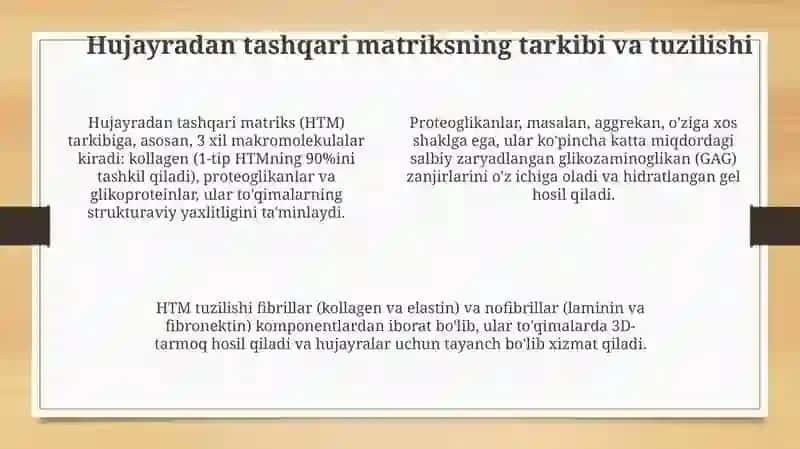 Hujayralar va hujayradan tashqari matriks: Aloqa asoslari 4