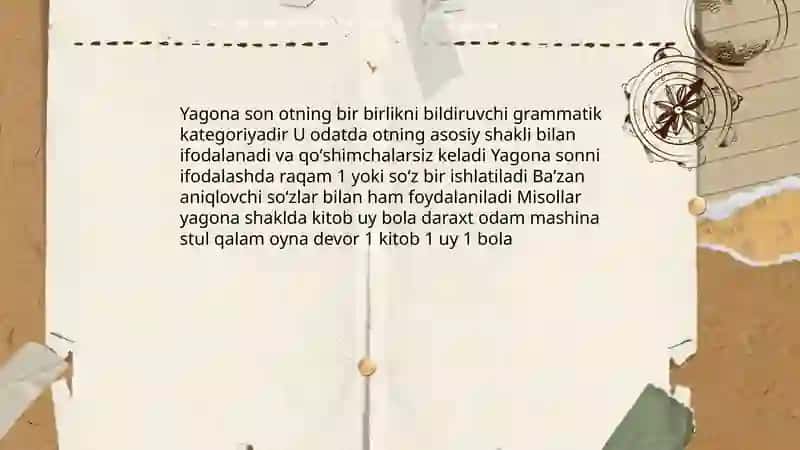 Son kategoriyasi ot soʼz turkumida 4