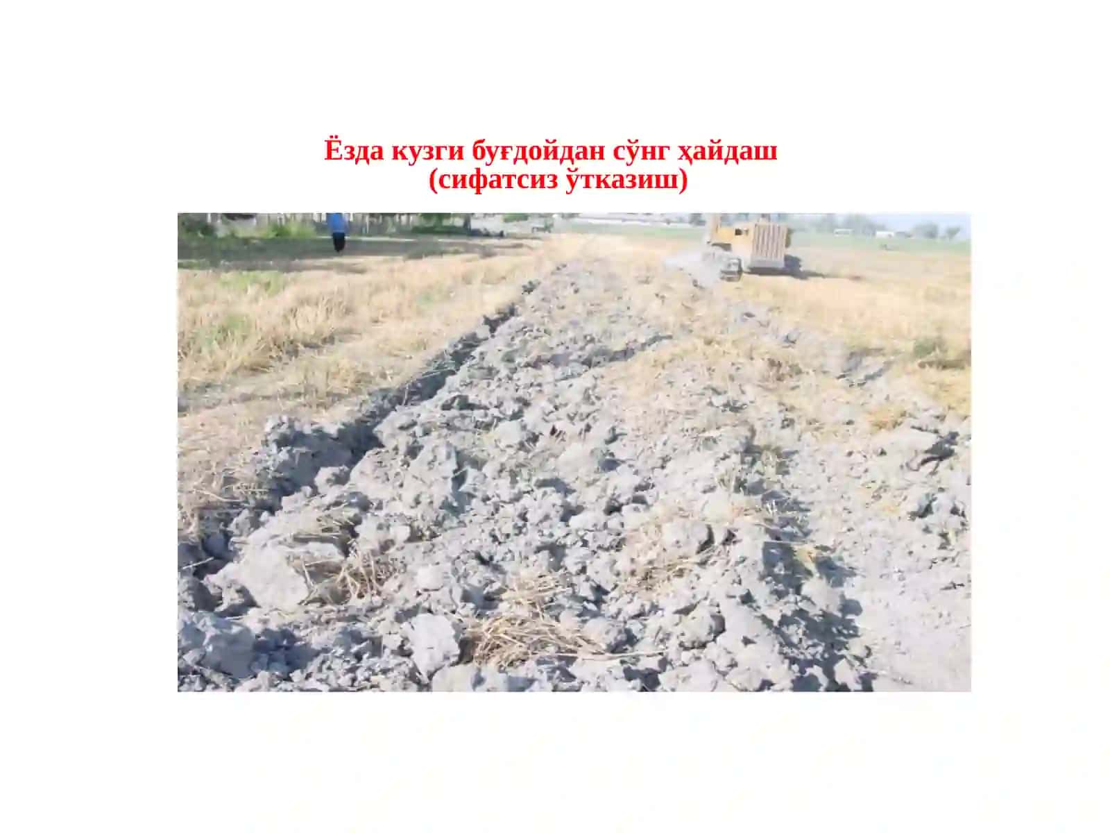 Ерни экин экишга тайёрлаш 4