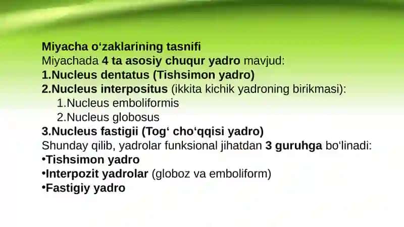 Miyacha o’zaklari va ularning klinik ahamiyati 4
