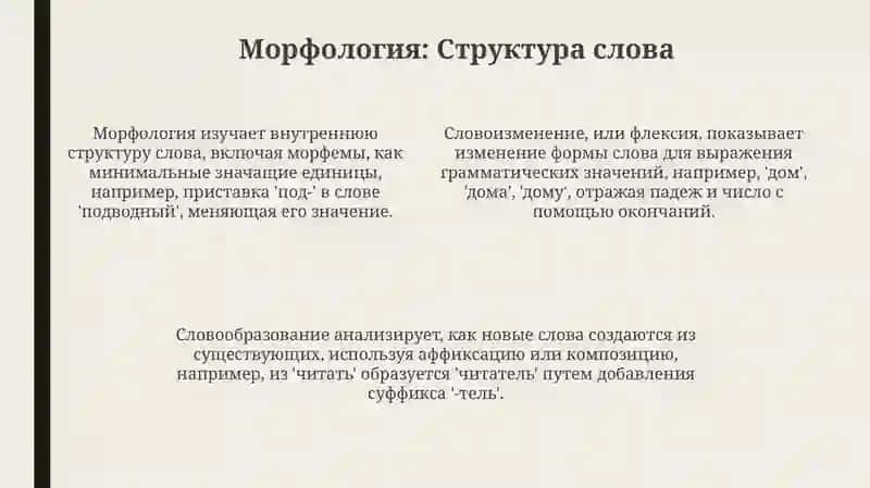 Лингвистический уровень и примеры 4