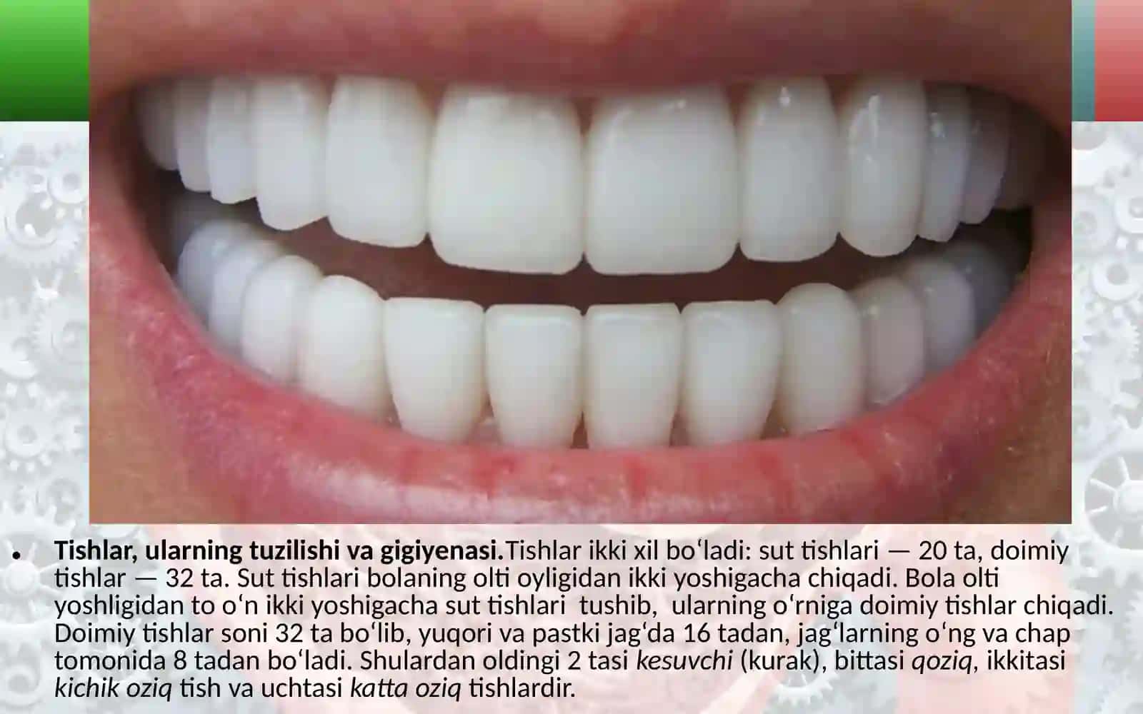 Ovqat hazm qilish organlarining tuzilishi va vazifasi 4