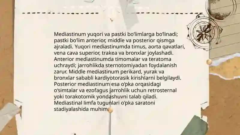 Ko‘krak bo‘shlig‘i a’zolarining jarrohlik anatomiyasi 4