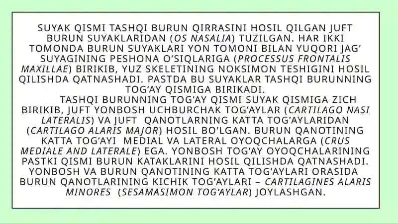 Burunning yon boʻshliqlarining klinik anatomiyasi 4