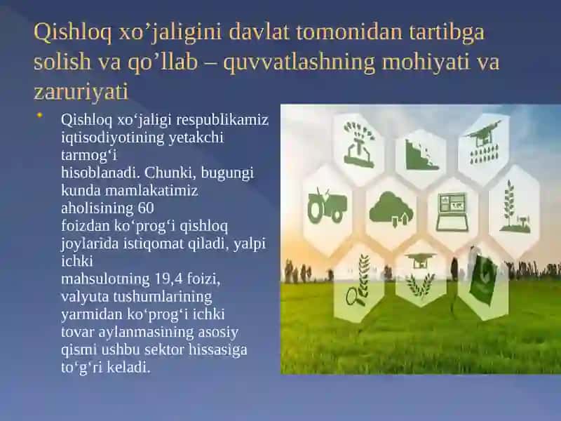 Qishloq xo'jaligini davlat tomonidan qo'llab quvvatlash bo'yicha islohlar 4
