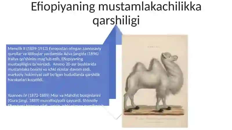 Efiopiya yangi davrda XVII XIX asr 4