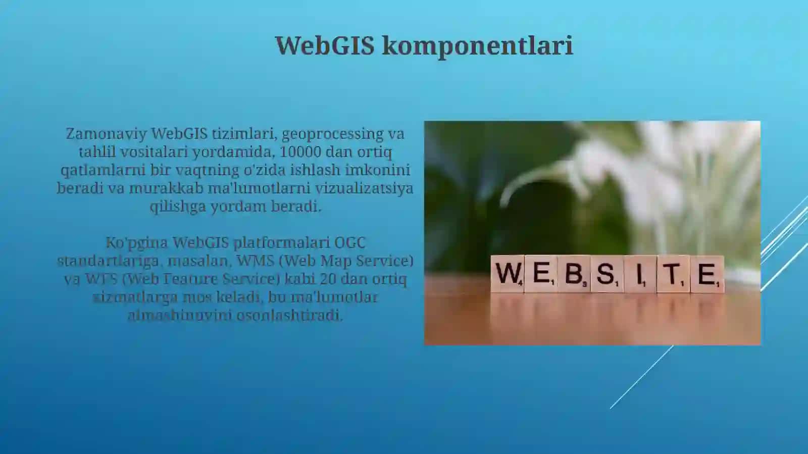 WebGIS tòģrisida ma'lumot 4