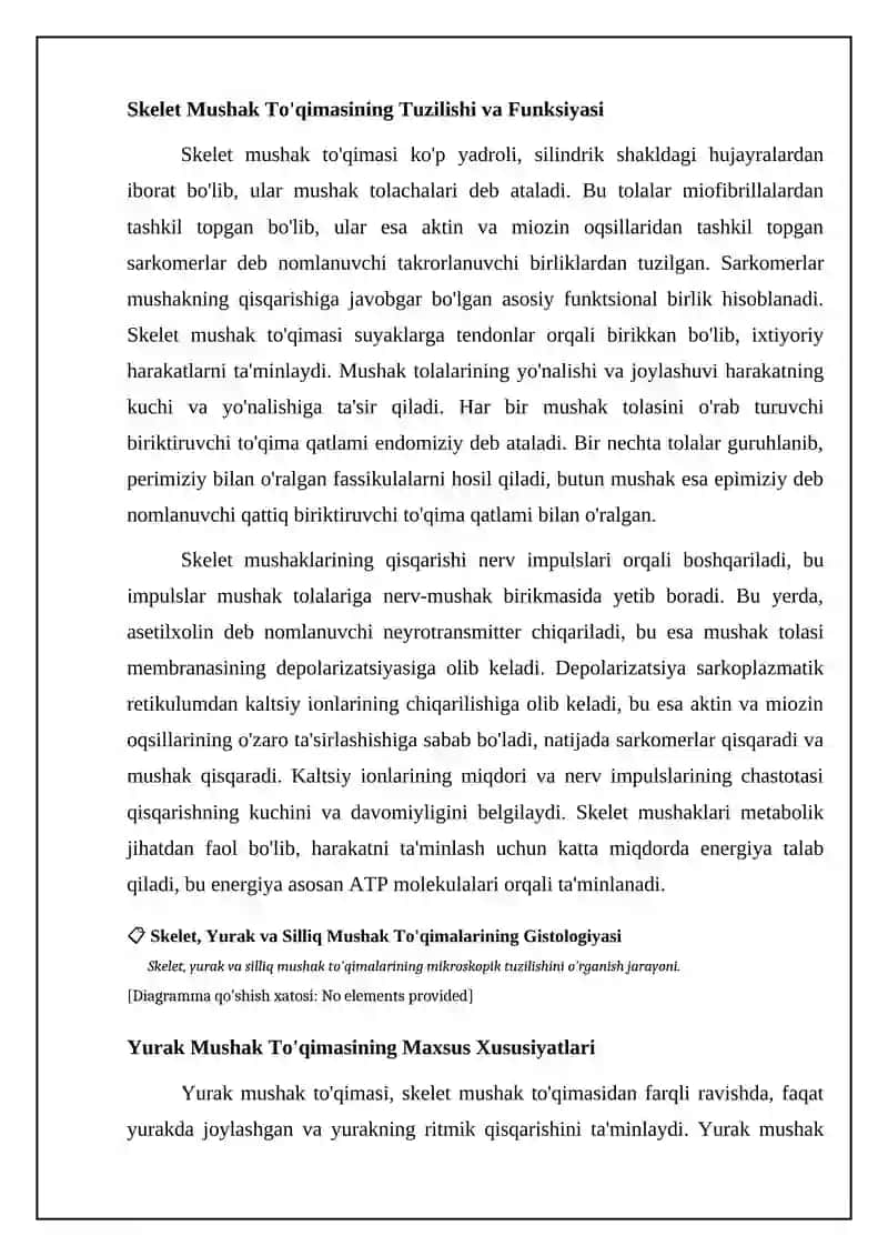 Muskul toʻqimasi gistologiyasi 4
