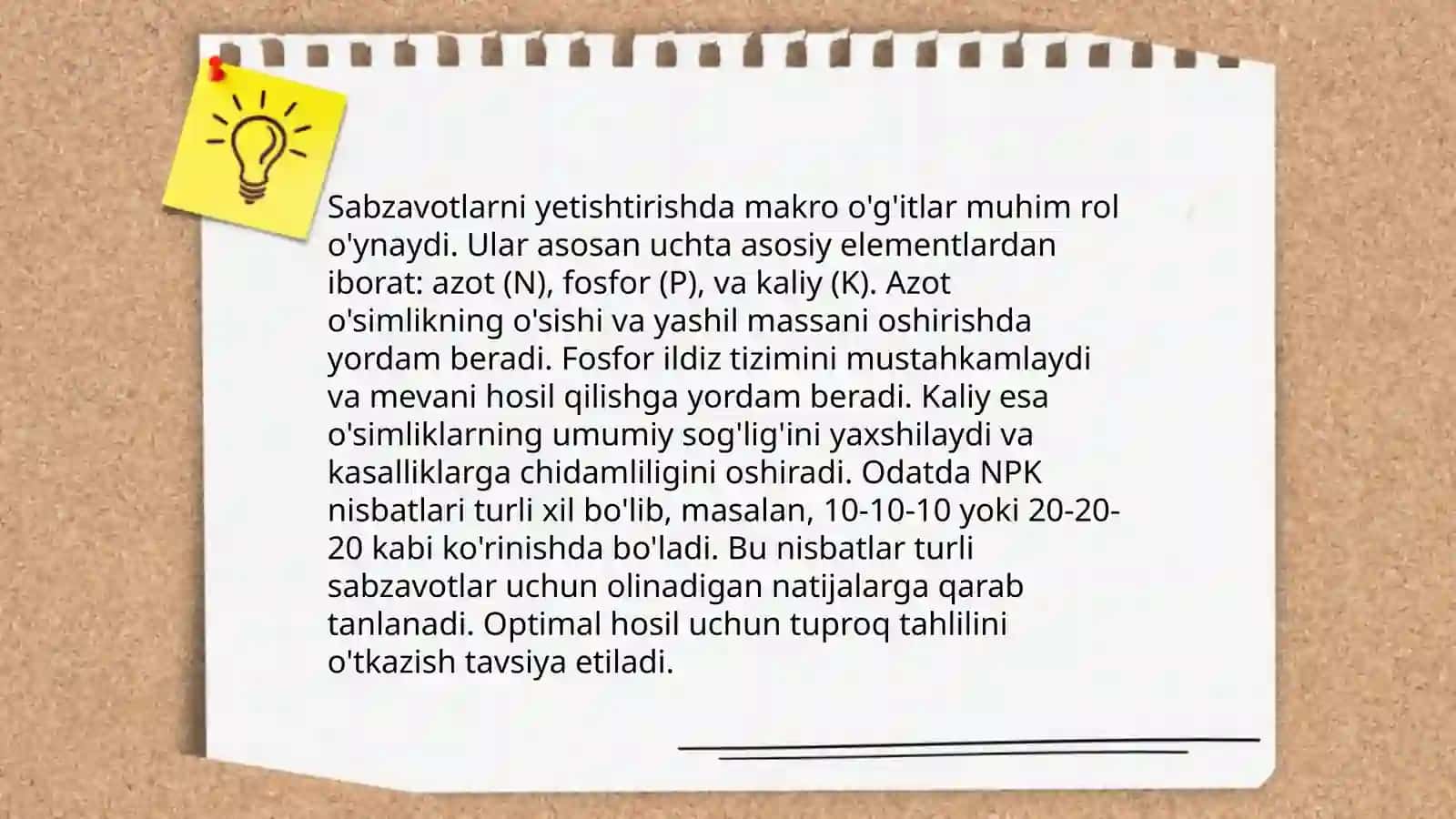 Himoyalangan yerlarda sabzavotlarga makro va mikro o'g'itlarni qo'llash 4